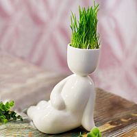 набор для выращивания eco русалка в Магнитогорске