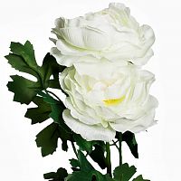 пион белый 62 см (12) в Магнитогорске