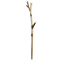 декоративное растение ствол березы 140 см в Магнитогорске