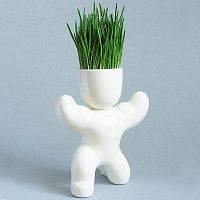 набор для выращивания eco атлет в Магнитогорске