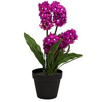 декоративное растение гиацинт в горшочке фиолетовый 40 см в Магнитогорске