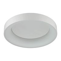 потолочный светодиодный светильник odeon light sole 4062/50cl в Магнитогорске